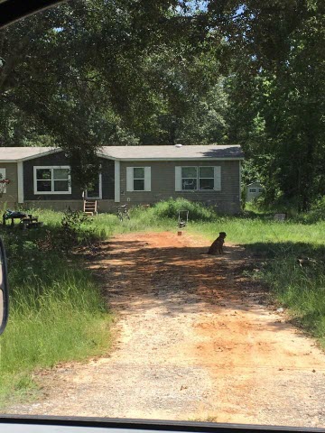 Crushed Concrete Driveway