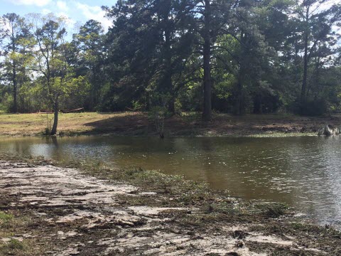 Lake Clear