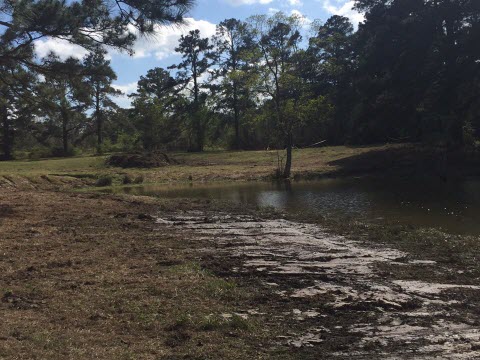 Lake Clear