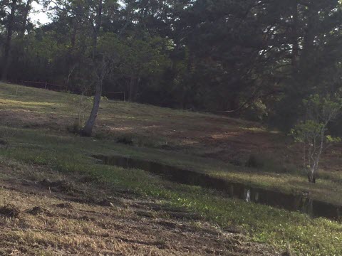 Lake Clear