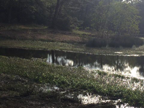 Lake Clear